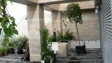 garden_4