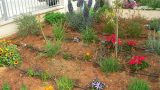 garden_4