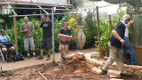 garden_5