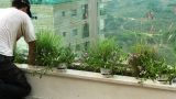garden_5