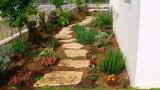 garden_5