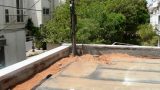 garden_5
