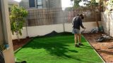 garden_6