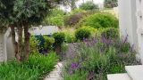 garden_6