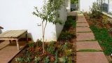 garden_6