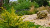 garden_6
