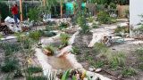 garden_6