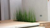 garden_7