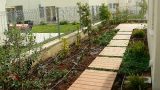 garden_7