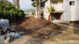 garden_7