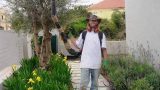 garden_8