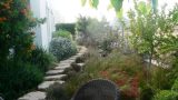 garden_8