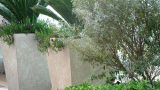 garden_8