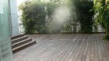 garden_8