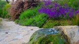 garden_8