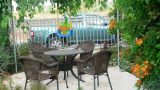 garden_9