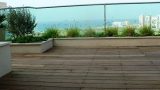 garden_9