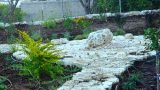 garden_9