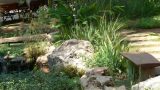 garden_9