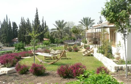 הקמת גינה לצימרים של שטו פרובנס
