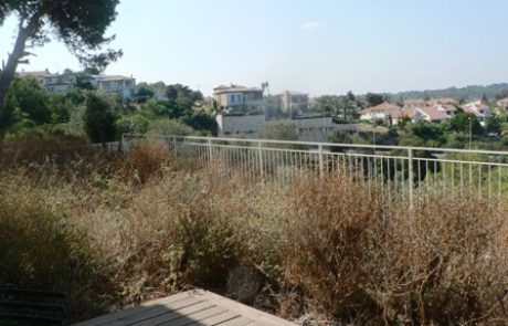 הקמת גינה עם דק ואדני רכבת – זיכרון יעקב
