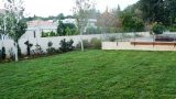 savyon_garden